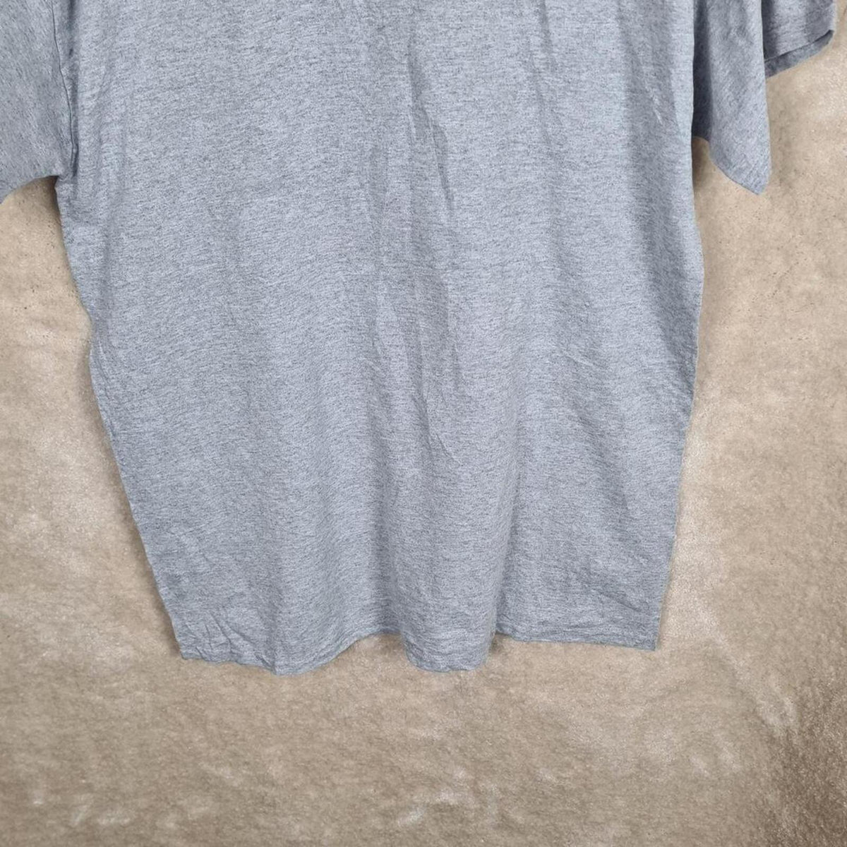 Champion 2021 Big Ten Football Championship Game T Shirt Mens Large Grey Z873