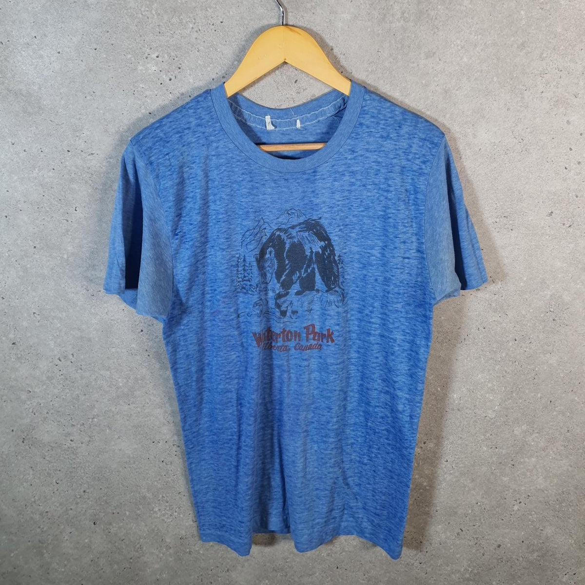 Vintage Waterton Park Alberta Canada USA Single Stitch T Shirt Men’s Medium Blue