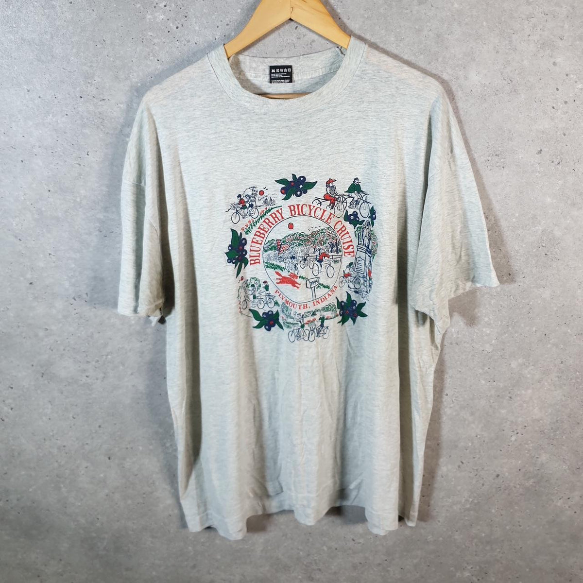 Vintage Best Fruit of the Loom Blueberry Bicycle Plymouth Indiana USA Single Stitch T Shirt Men’s 2XL Grey - Big Fish Vintage