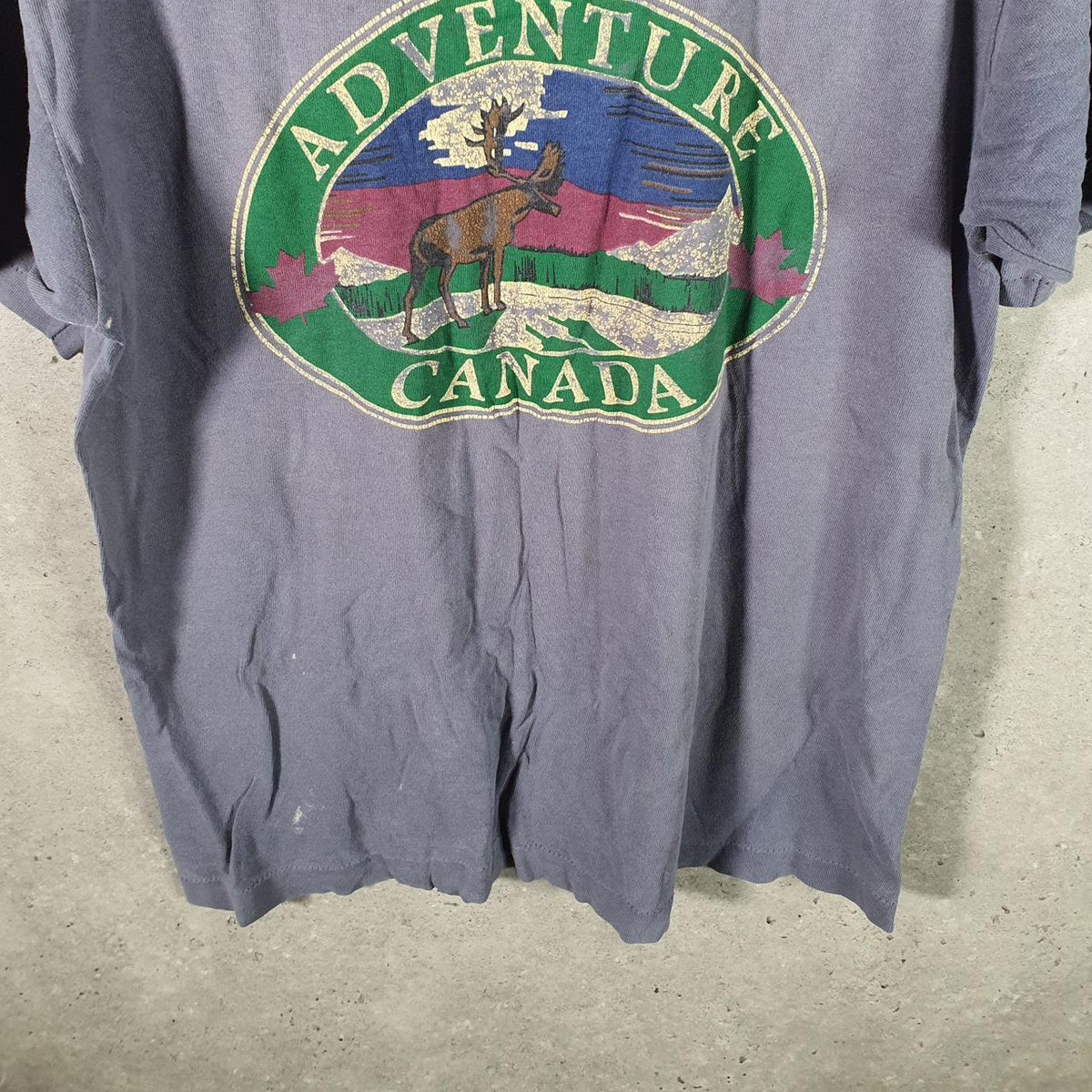 Vintage Fruit of the Loom Adventure Canada Single Stitch T Shirt Men’s Medium Grey Big Fish Vintage