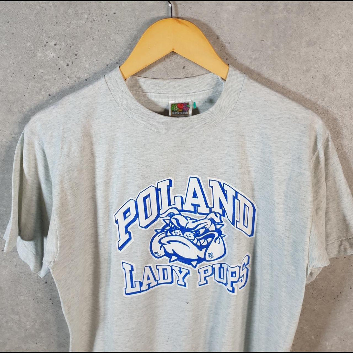 Vintage Fruit of the Loom Poland Lady Pups USA 90s Single Stitch T Shirt Men’s Medium Grey C8955