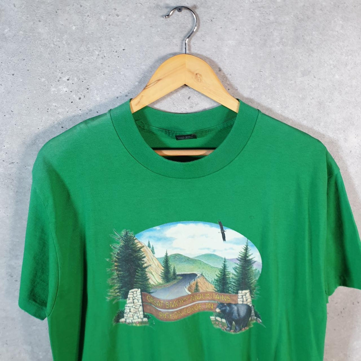 Vintage Platinum Plus Pigeon Forge TN Mountains 90s USA Single Stitch T Shirt Men’s Large Green