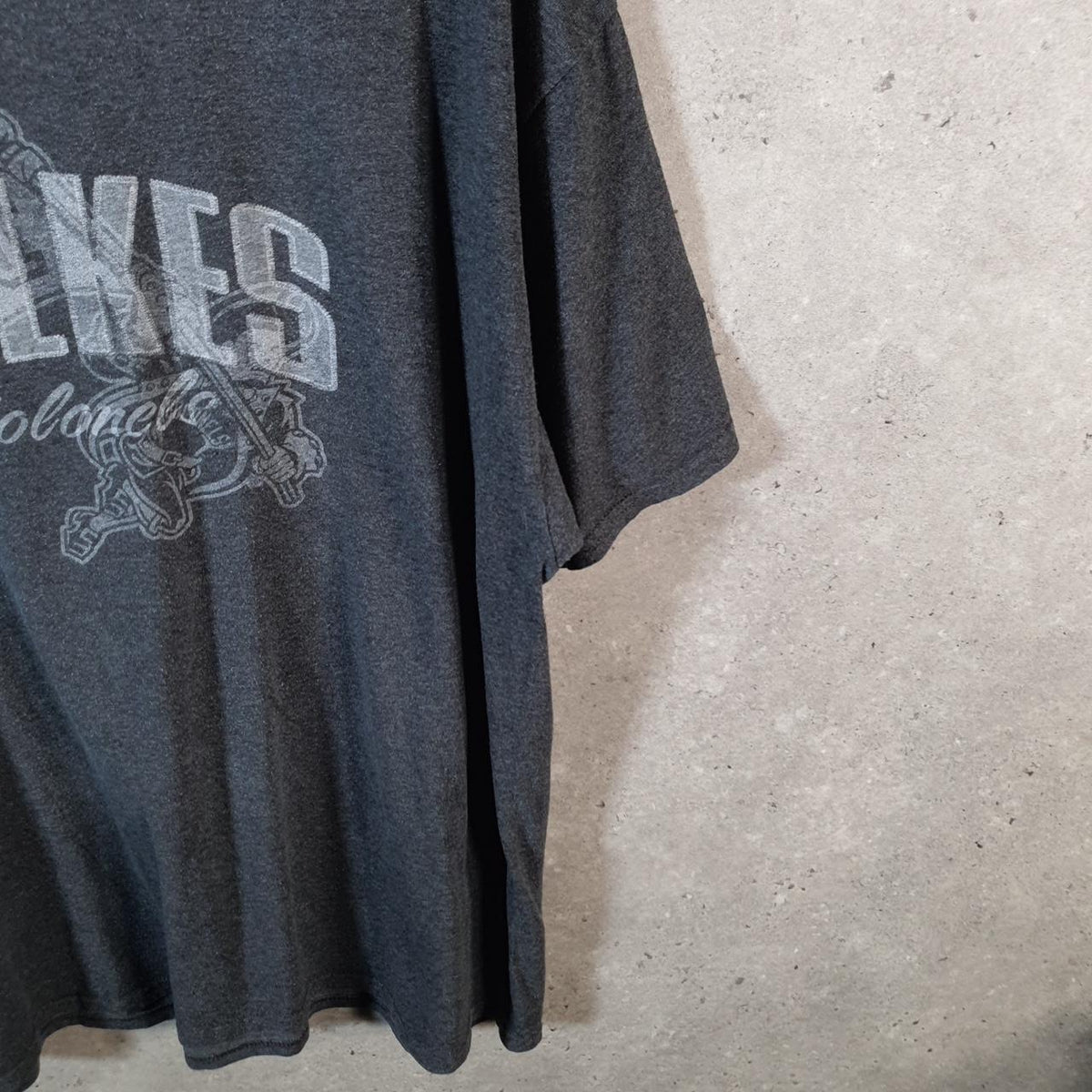 Vintage Champion Wilkes Colonel Logo T Shirt Men’s XL Grey American USA Athletic