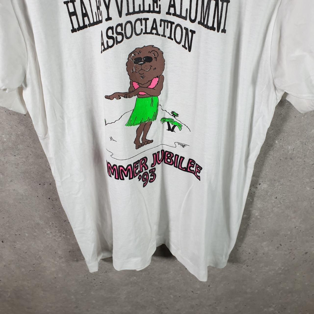 Vintage Screen Stars Best Halleyville Union 1993 USA Single Stitch T Shirt Men’s Large White Big Fish Vintage