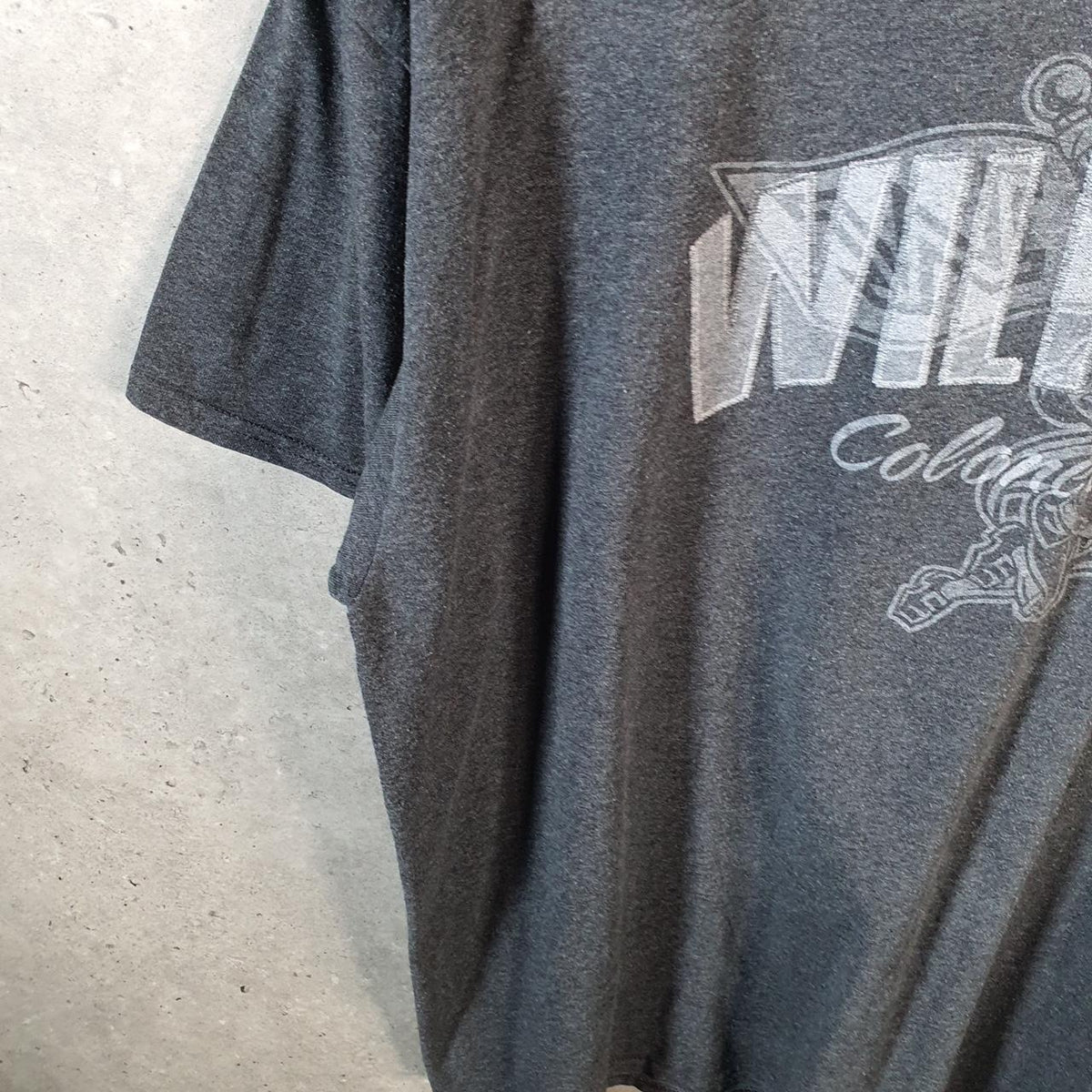 Vintage Champion Wilkes Colonel Logo T Shirt Men’s XL Grey American USA Athletic