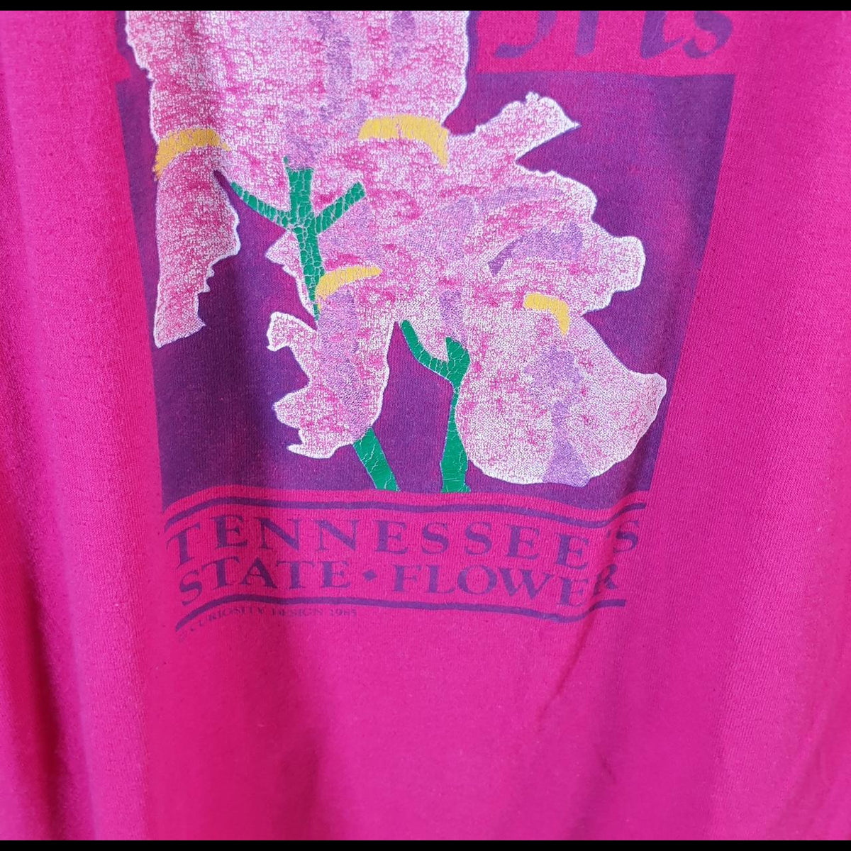 Vintage Jerzees Iris Tennessee Flowers 90s USA Single Stitch T Shirt Men’s Small Pink C8015