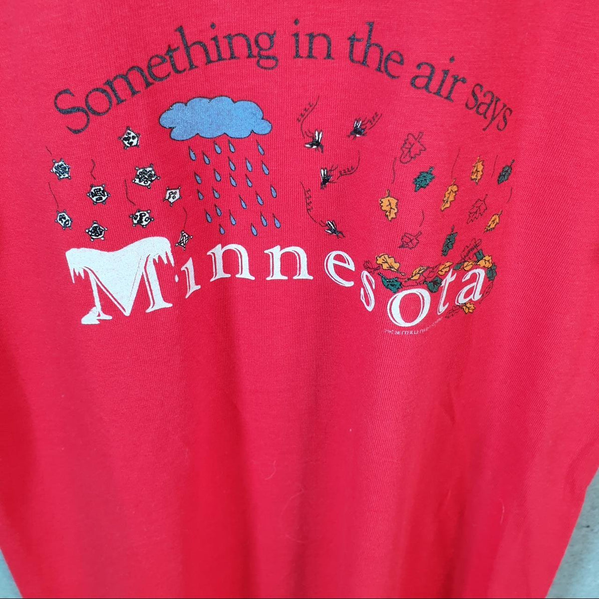 Vintage Hanes Minnesota Seasons Graphic 90s USA Single Stitch T Shirt Men’s Small Red C9555
