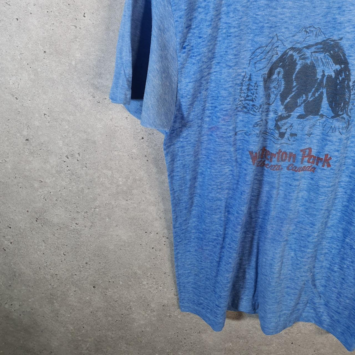 Vintage Waterton Park Alberta Canada USA Single Stitch T Shirt Men’s Medium Blue