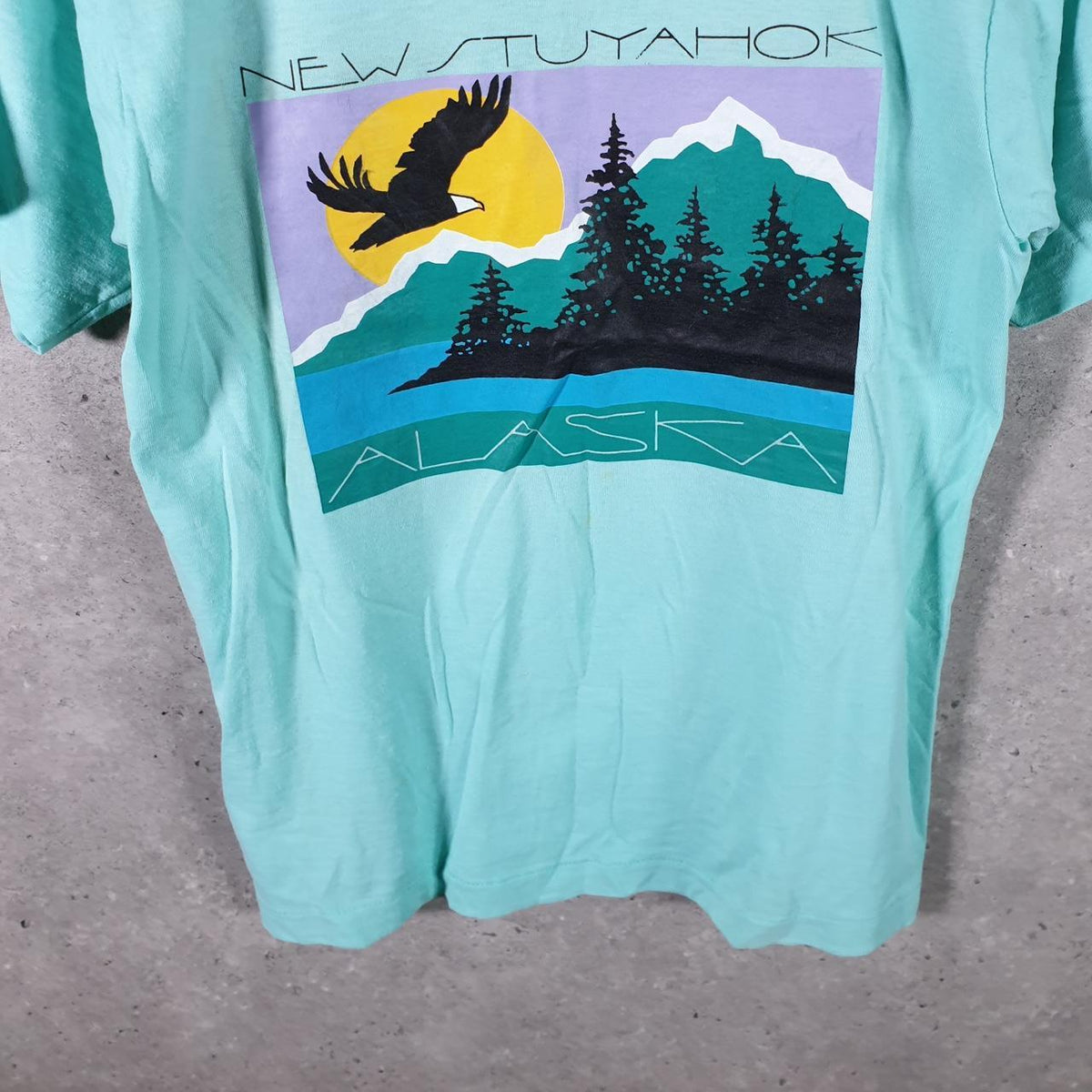 Vintage Screen Stars Best Alaska New Stuyahok USA Single Stitch T Shirt Men’s Medium Blue Big Fish Vintage