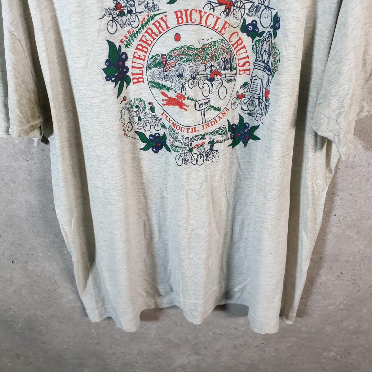 Vintage Best Fruit of the Loom Blueberry Bicycle Plymouth Indiana USA Single Stitch T Shirt Men’s 2XL Grey - Big Fish Vintage