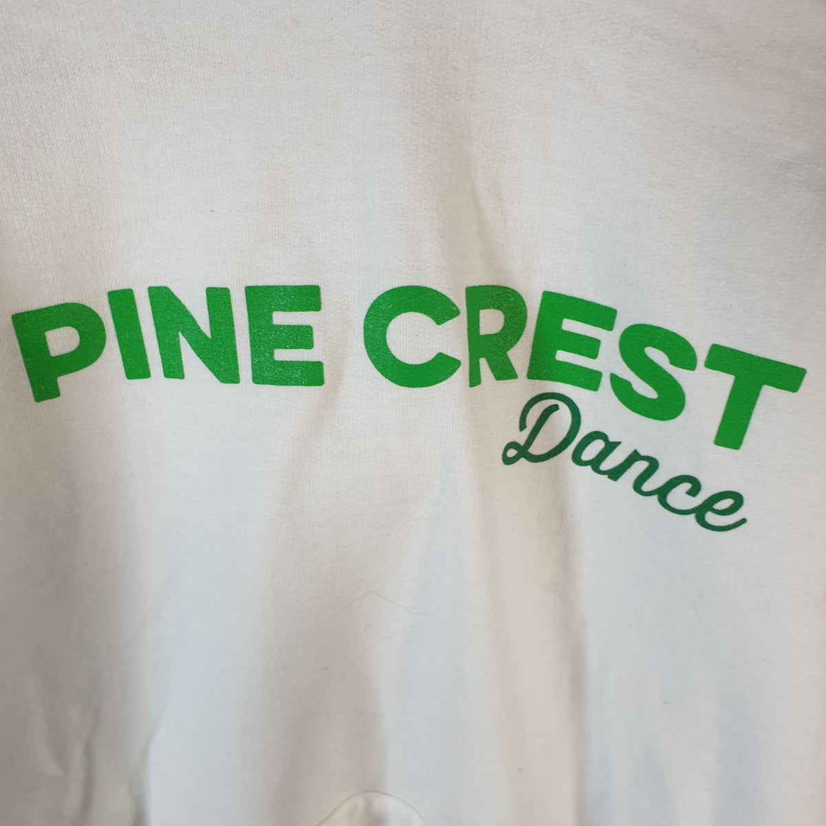 Vintage Champion Hoodie Men’s Medium White Pro Sport Pullover Pine Crest Dance