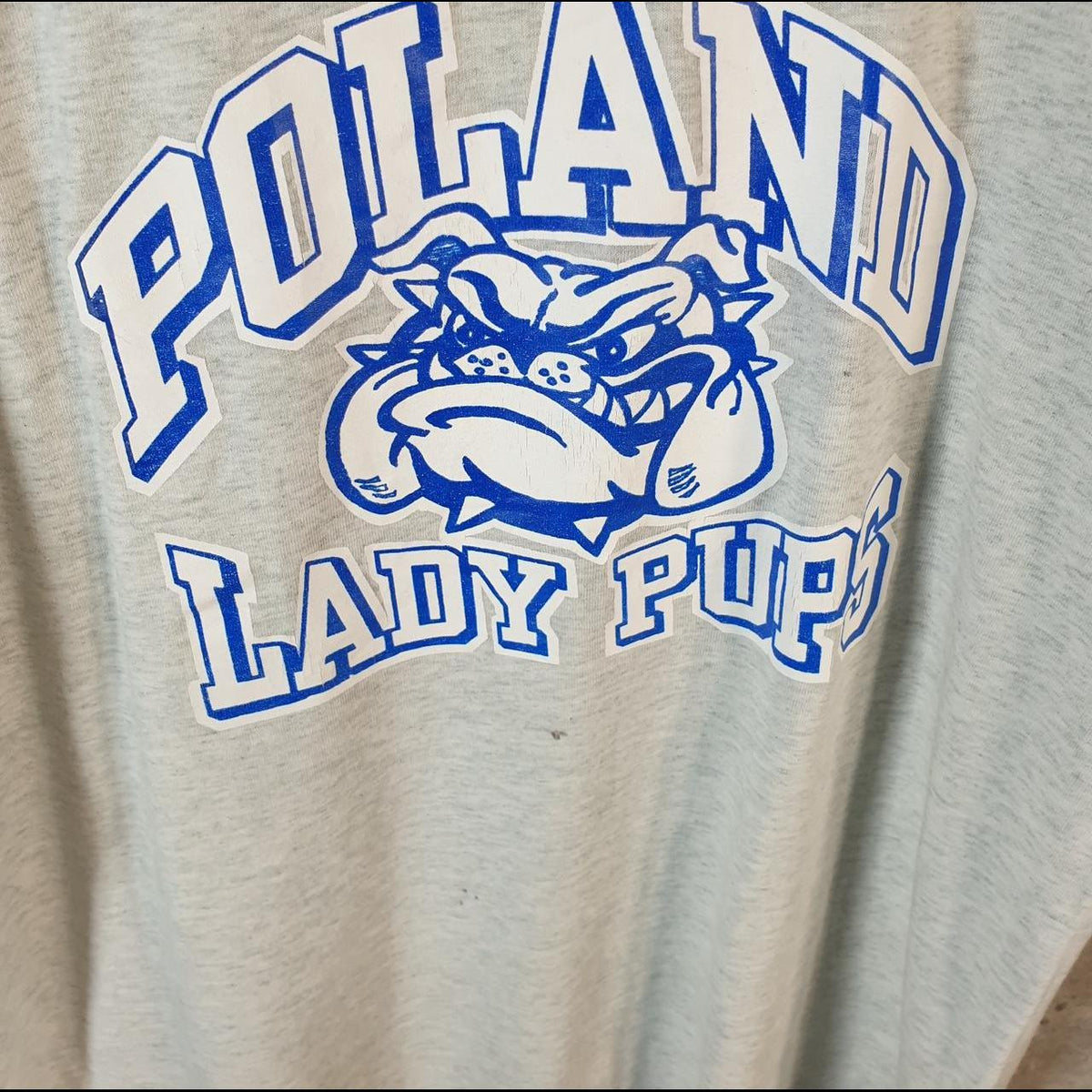 Vintage Fruit of the Loom Poland Lady Pups USA 90s Single Stitch T Shirt Men’s Medium Grey C8955