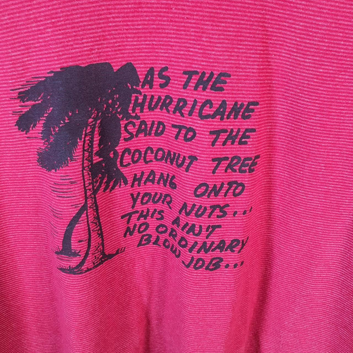 Vintage Tennessee River Innuendo Rude 90s USA Single Stitch T Shirt Men’s Medium Red