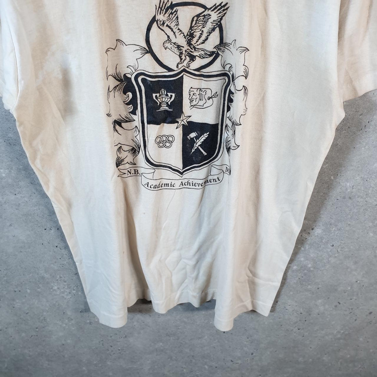 Vintage Best Fruit of the Loom Academic Achievement USA Single Stitch T Shirt Men’s Large Beige Big Fish Vintage