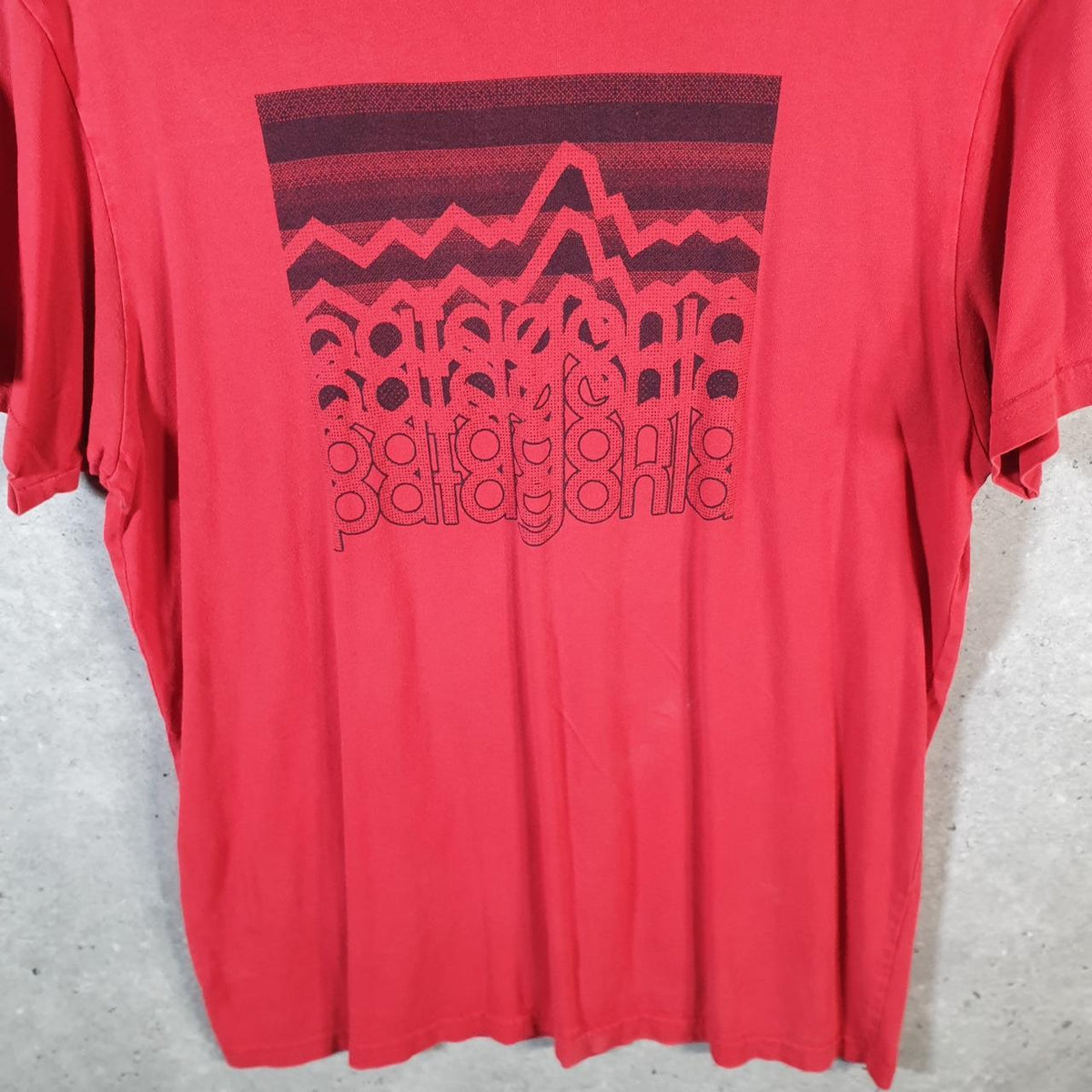 Vintage Patagonia Organic Cotton T Shirt Men’s Large Red Slim Fit Spellout Logo Big Fish Vintage