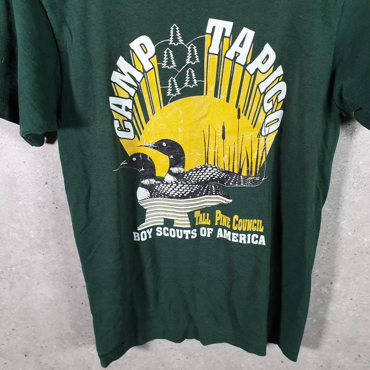 Vintage Best Fruit of the Loom Camp Tampico Tall Pine USA Single Stitch T Shirt Men’s Small Green Big Fish Vintage