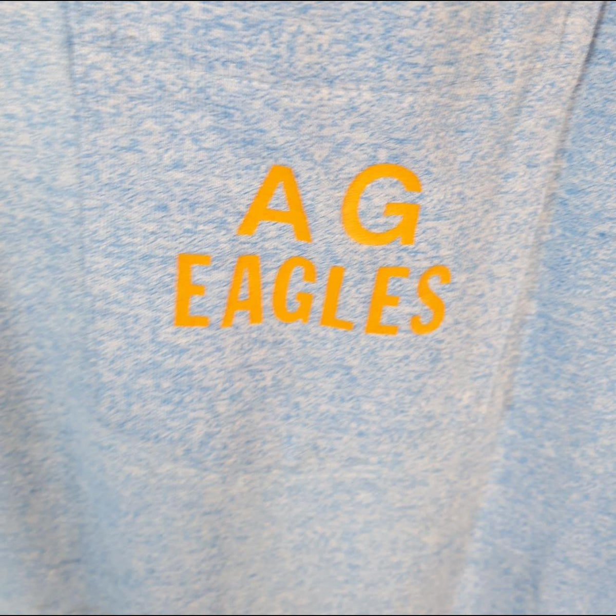 Vintage AG Eagles Graphic 90s USA Single Stitch T Shirt Men’s Medium Blue C8756