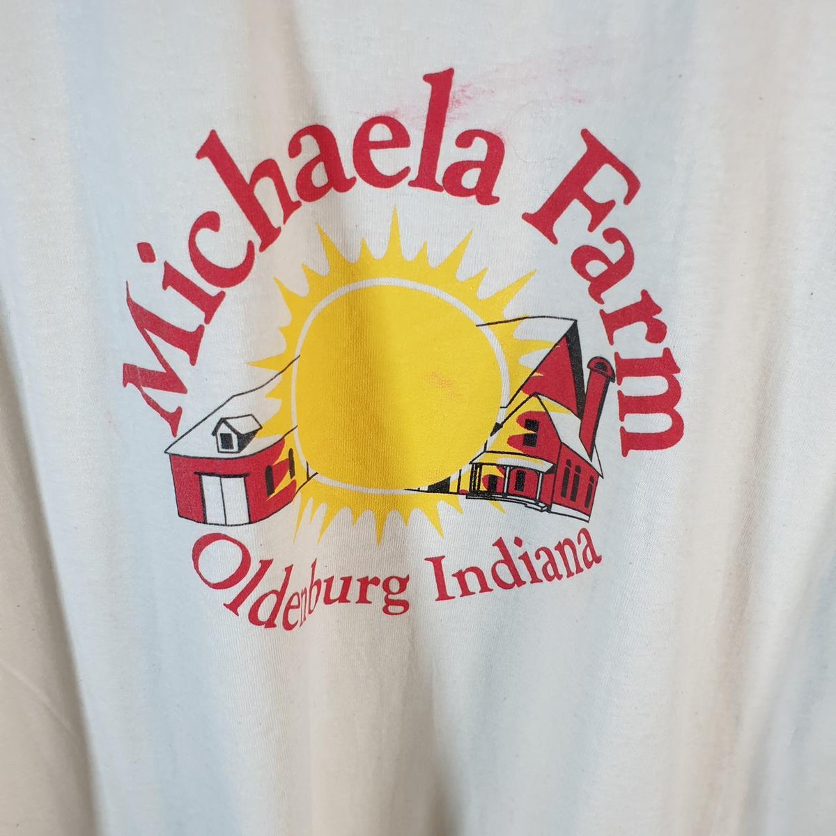 Vintage AllSport USA Michaela Farm Indiana 90s Single Stitch T Shirt Men’s XL White Big Fish Vintage
