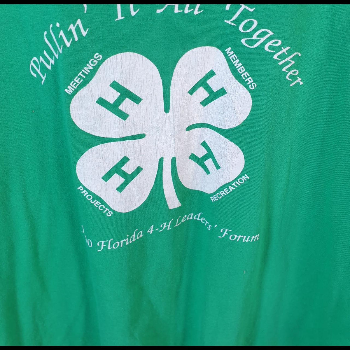 Vintage Screen Stars Florida Members 90s USA Single Stitch T Shirt Men’s XL Green C8128