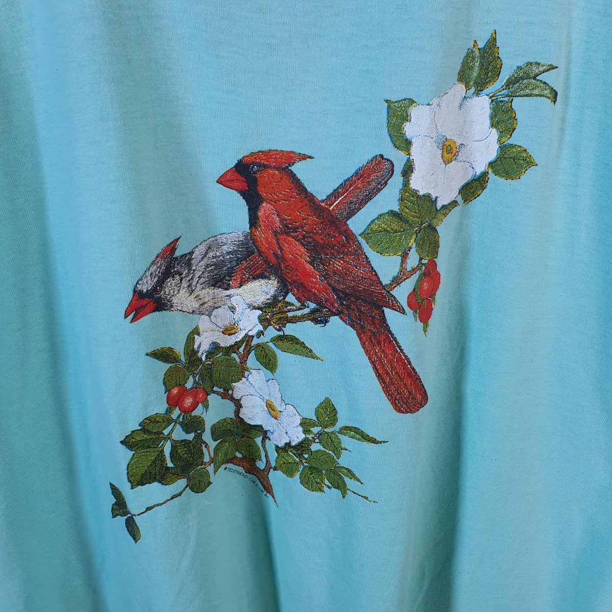 Vintage Screen Stars Best Flowers Bird Parrot USA Single Stitch T Shirt Men’s Large Blue Big Fish Vintage