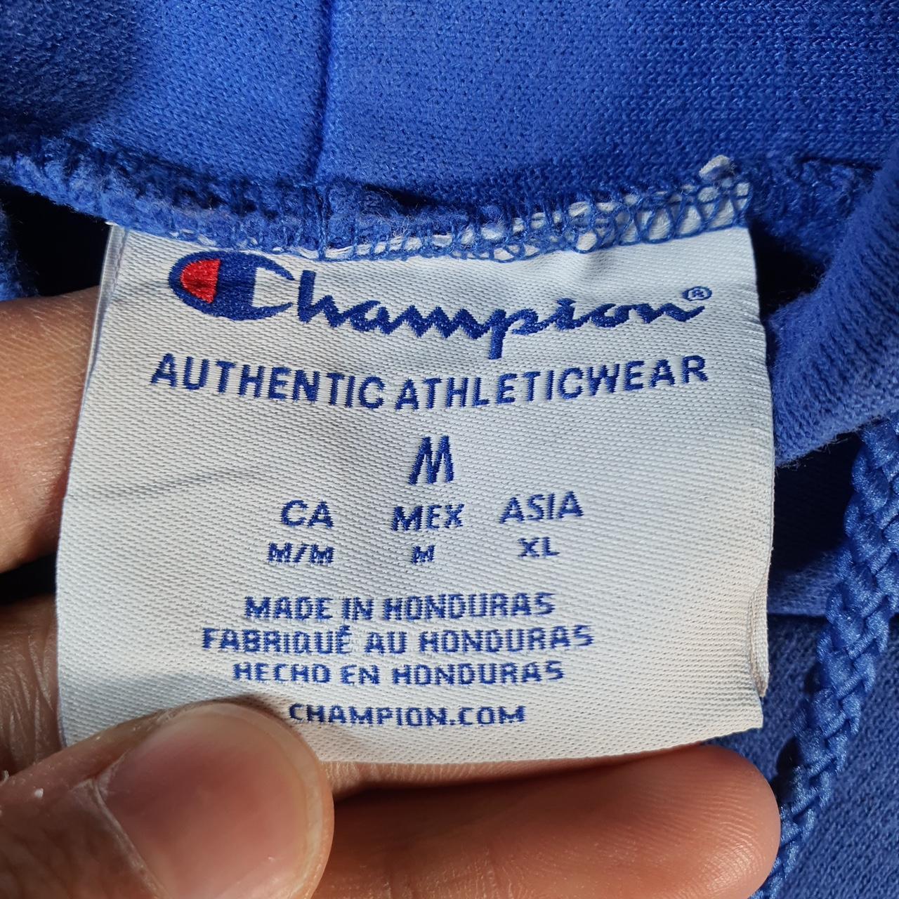 Vintage Champion Hoodie Men’s Medium Blue Pro Sport Pullover Delaware