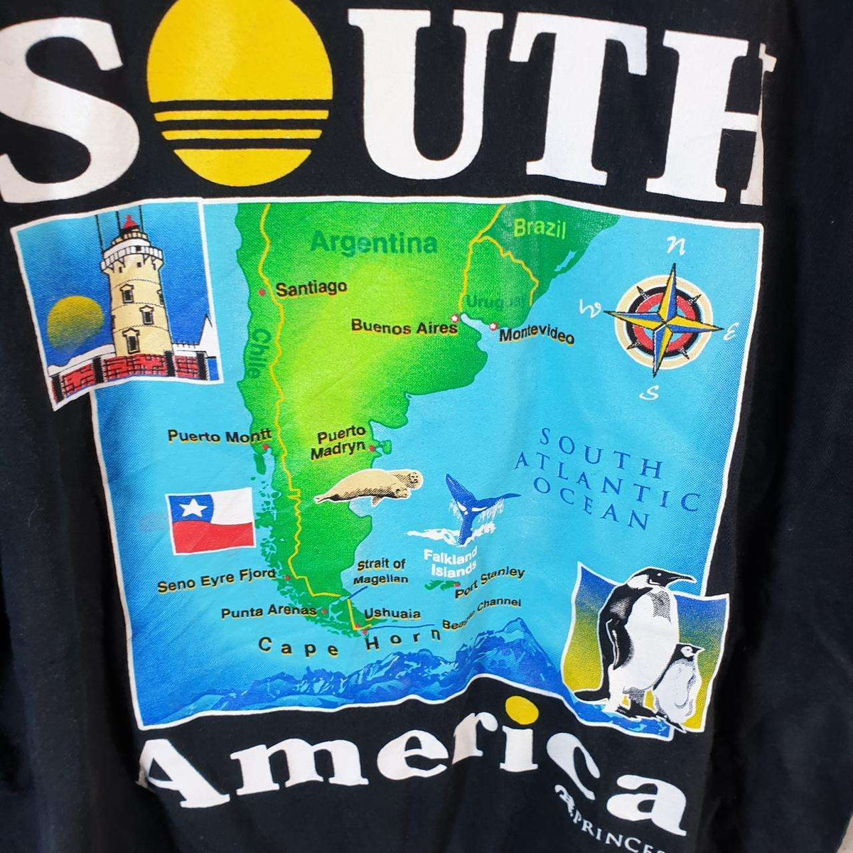 Vintage South America Princess Cruises Graphic USA Single Stitch T Shirt Men’s Medium Black Big Fish Vintage