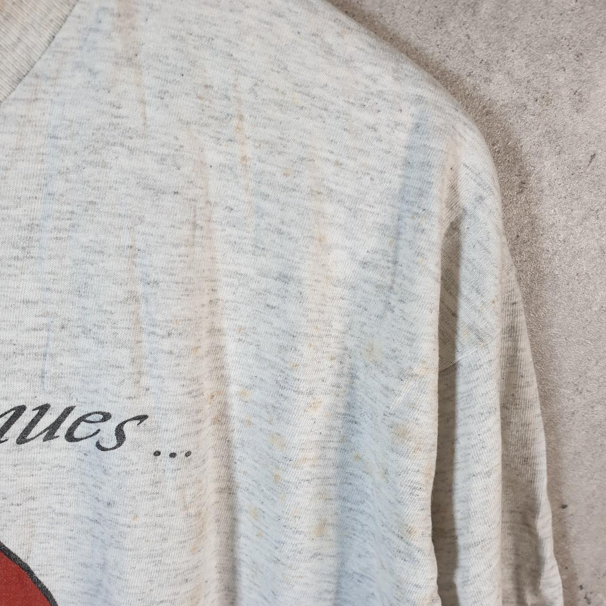 Vintage AllSport USA The Call Continues Bird Graphic Single Stitch T Shirt Men’s XL Grey Big Fish Vintage