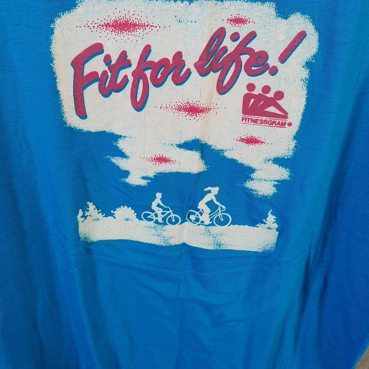 Vintage Hanes 50/50 Fitness For Life Flowers USA 90s Single Stitch T Shirt Men’s Medium Blue Big Fish Vintage