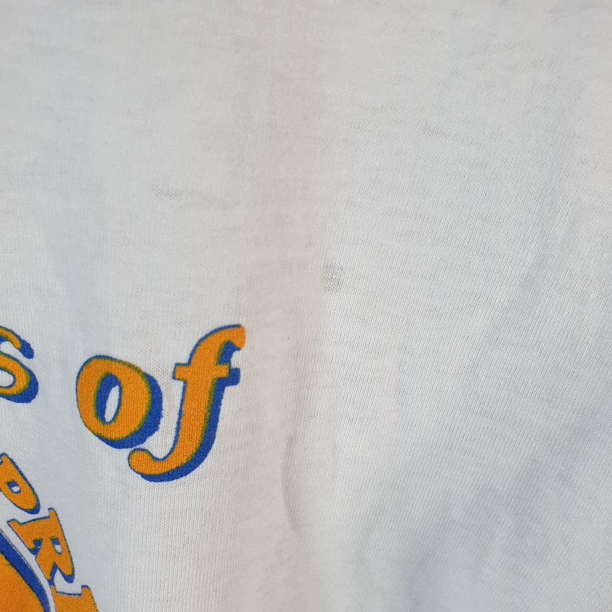 Vintage Oneita Power 1991 Aggie Pride T Single Stitch T Shirt Men’s Medium White Big Fish Vintage