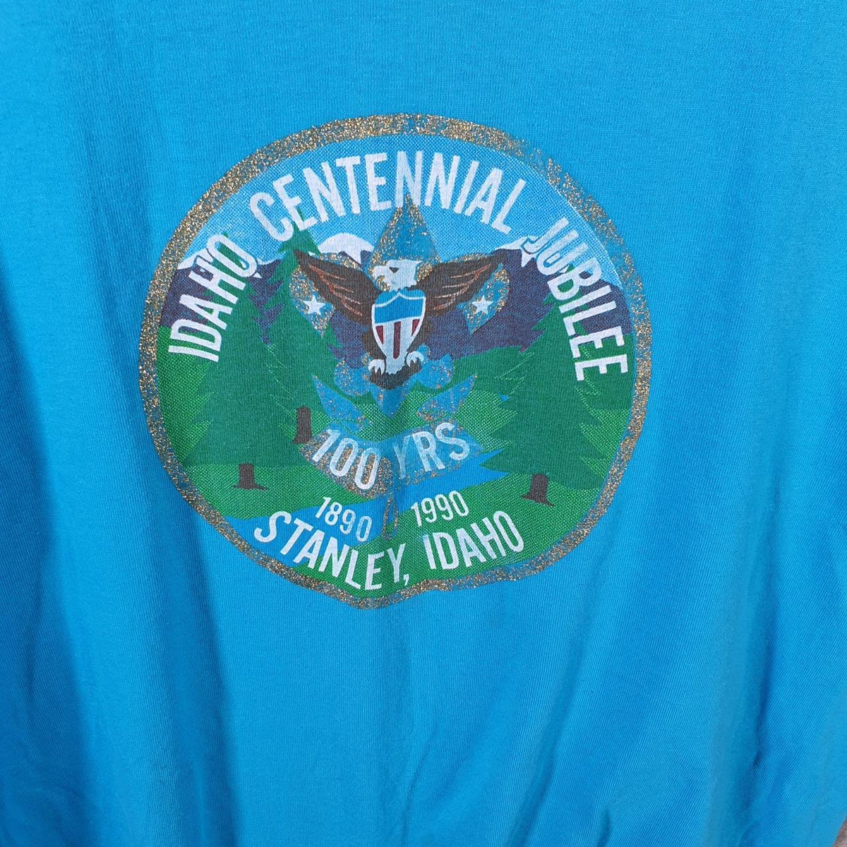 Vintage Screen Stars Best Stanley Jubilee Idaho 1990 USA Single Stitch T Shirt Men’s Large Blue Big Fish Vintage