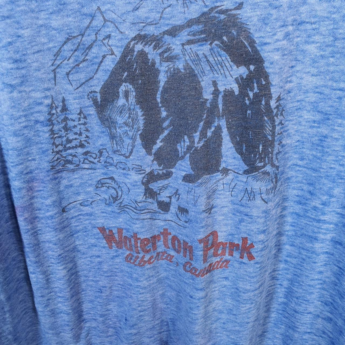 Vintage Waterton Park Alberta Canada USA Single Stitch T Shirt Men’s Medium Blue