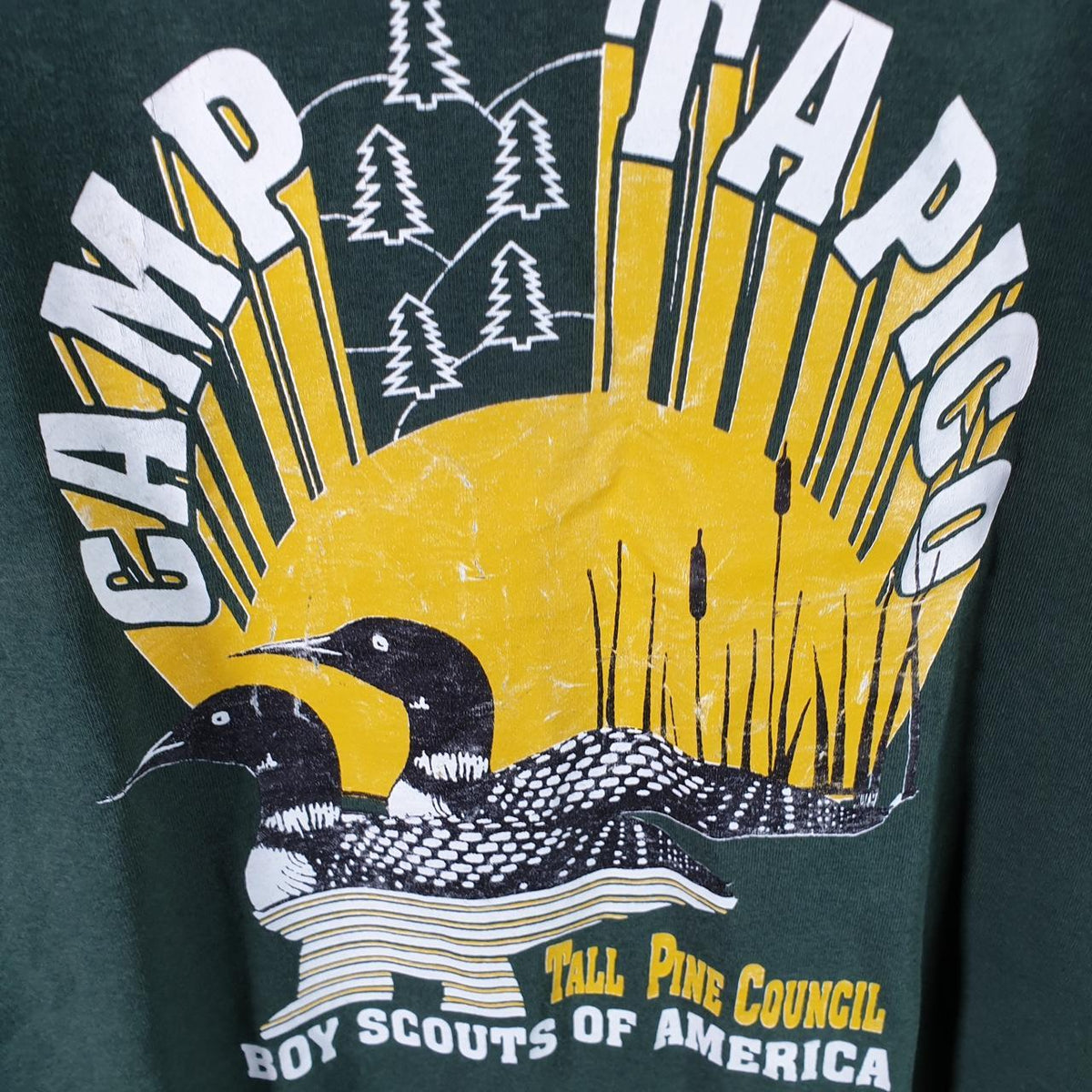 Vintage Best Fruit of the Loom Camp Tampico Tall Pine USA Single Stitch T Shirt Men’s Small Green Big Fish Vintage
