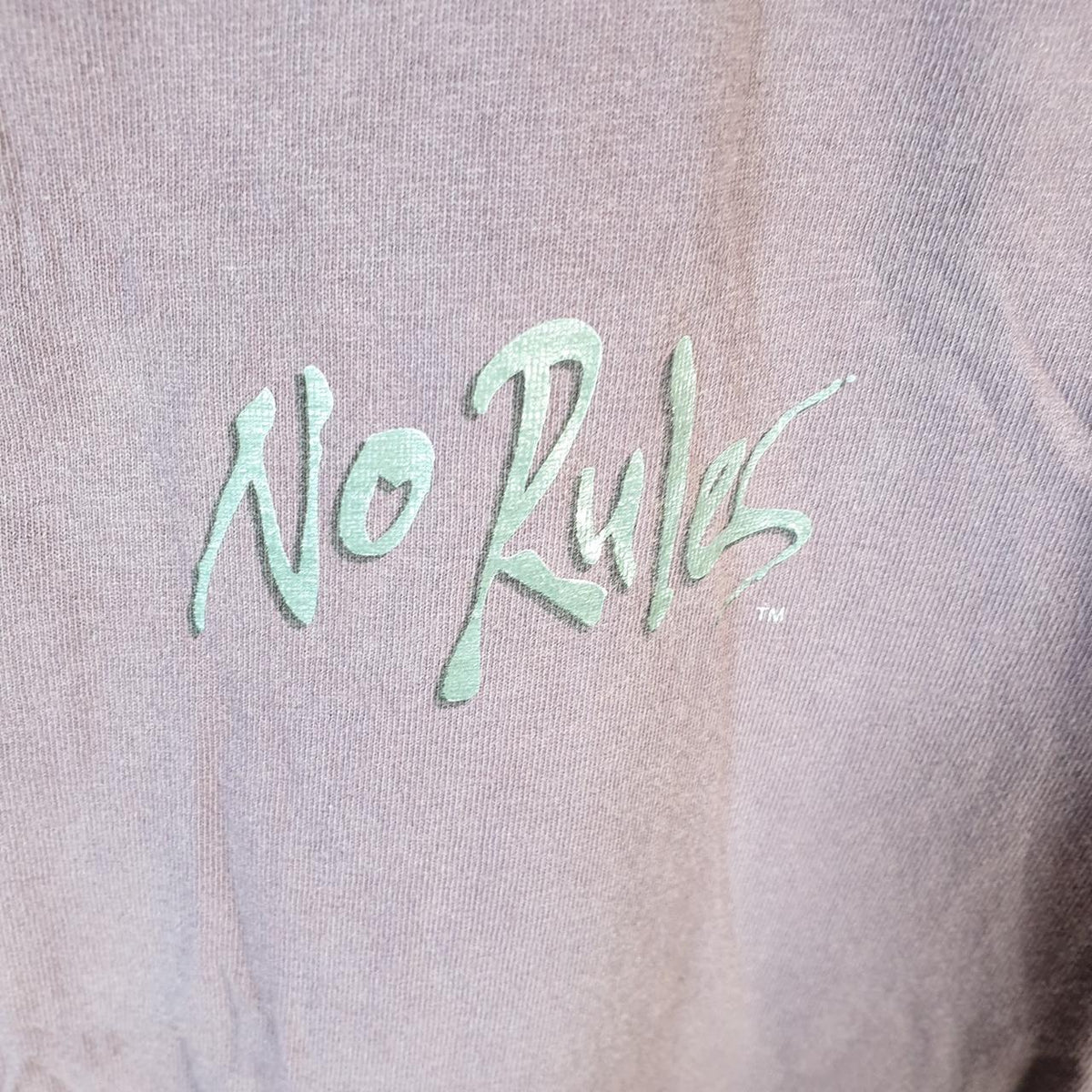 Vintage No Rules It’s Cool Y2K Graphic 90s Single Stitch T Shirt Men’s XS Purple