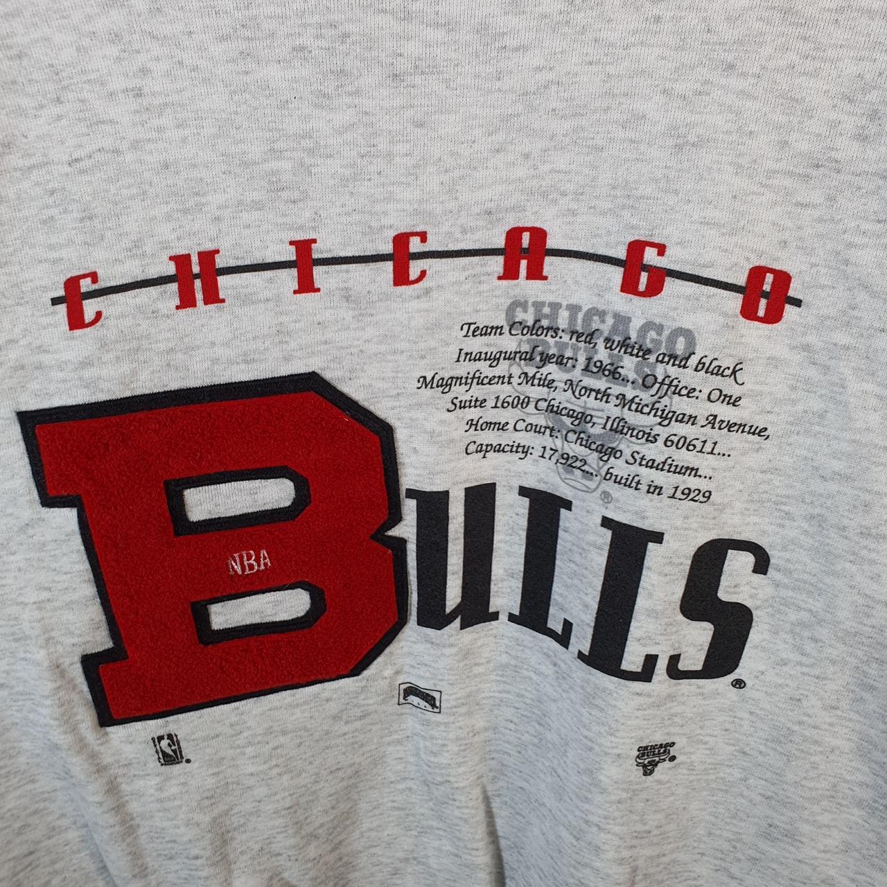 Vintage NBA Nutmeg Buffalo Bills 90s Embroidered Sweatshirt Men’s Medium Grey USA
