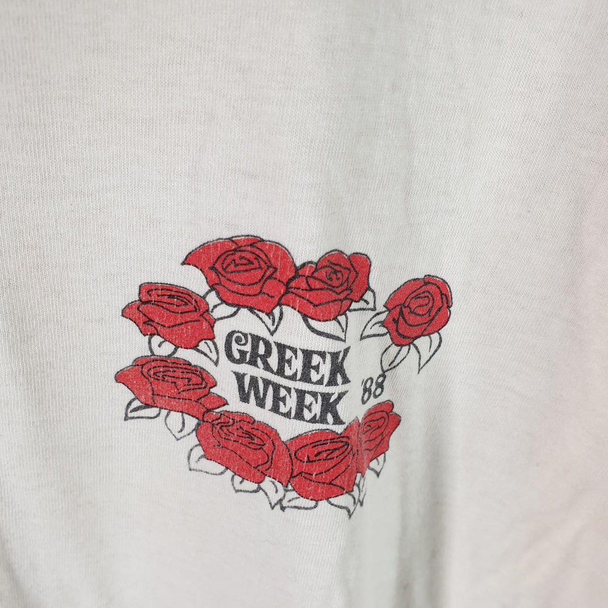 Vintage Greek Week Albion College 1988 Graphic USA Single Stitch T Shirt Men’s Large White Big Fish Vintage