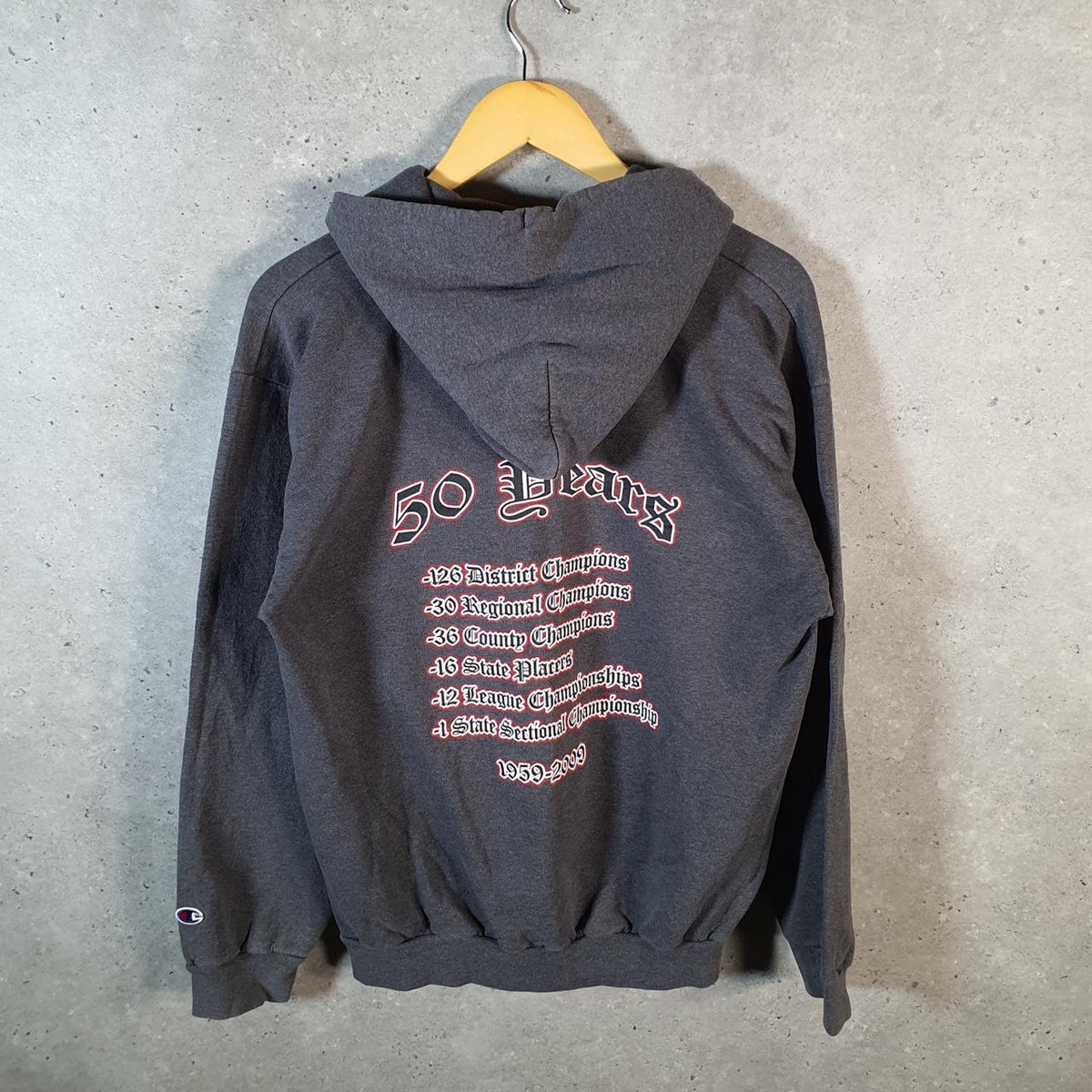 Vintage Champion Hoodie Men’s Medium Grey Pro Sport Pullover Bergenfield Wrestling