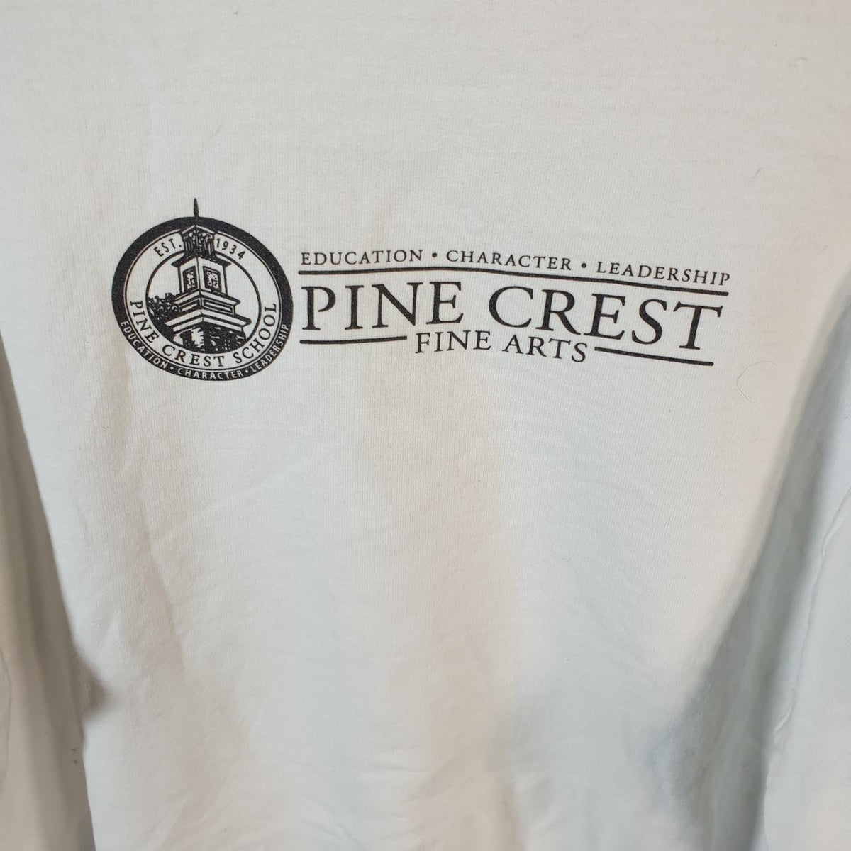 Vintage Champion Hoodie Men’s Medium White Pro Sport Pullover Pine Crest Dance