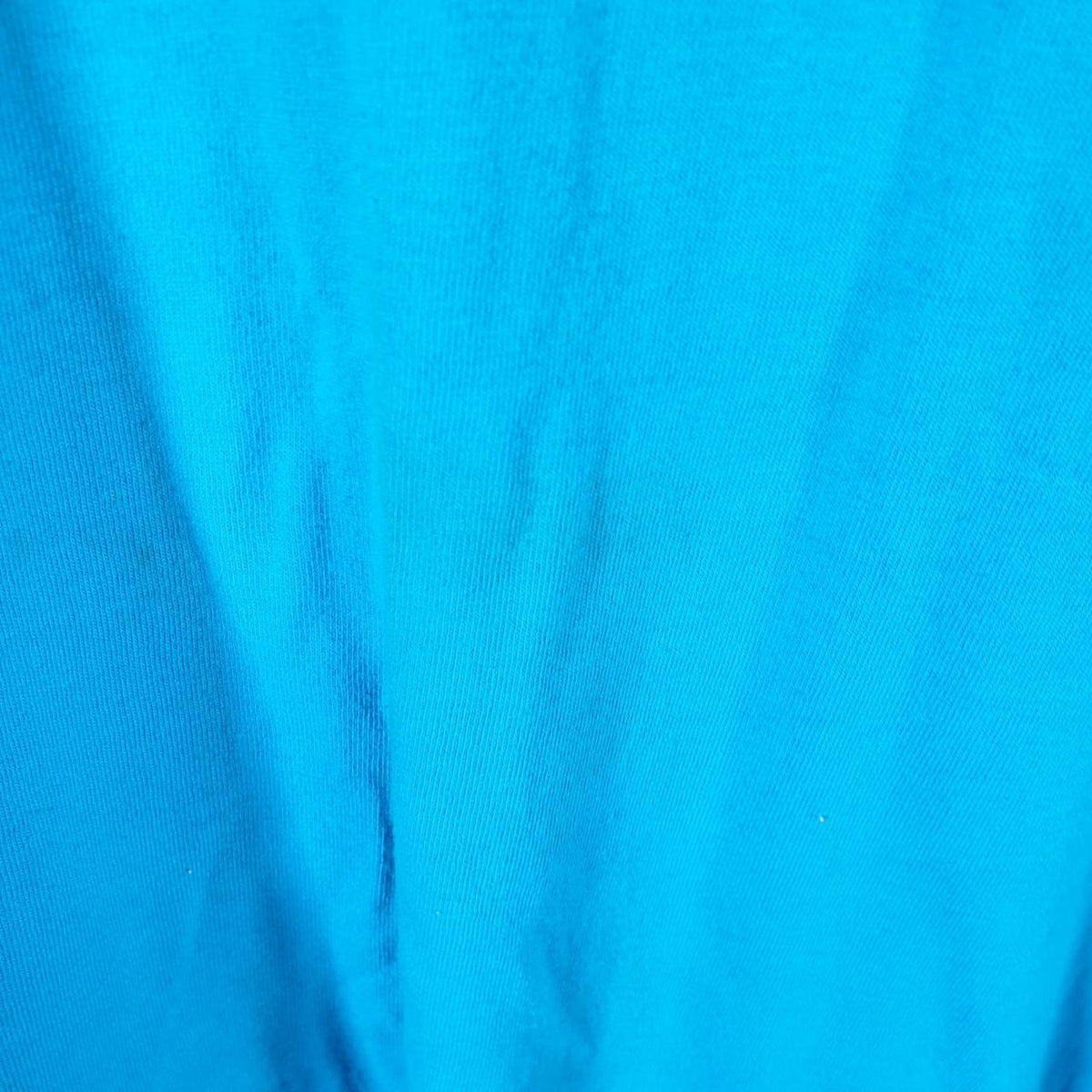 Vintage Best Fruit of the Loom Outdoor Landscaping USA Single Stitch T Shirt Men’s XL Blue Big Fish Vintage