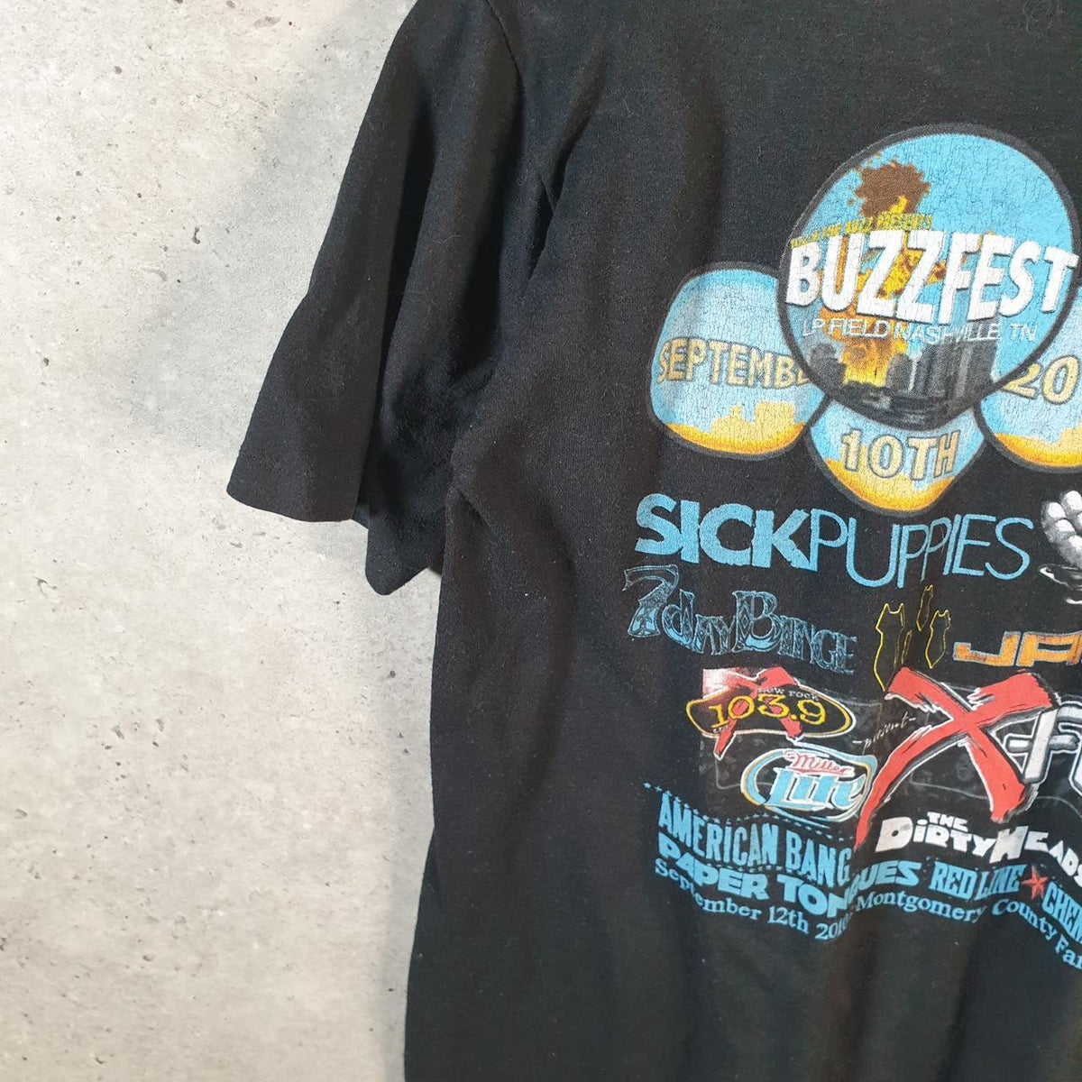 Vintage Buzzfest 2010 Shinedown Seether Montgomery County Fairgrounds T Shirt Men’s Small Black